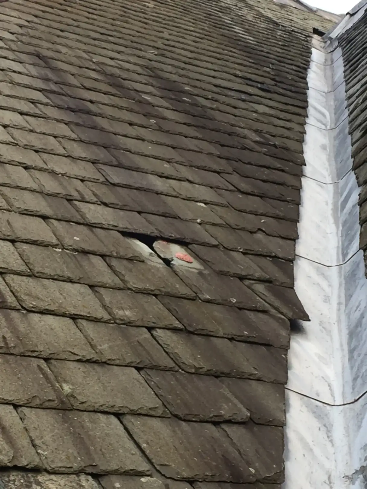 roof slate repair Westmorland Slates
